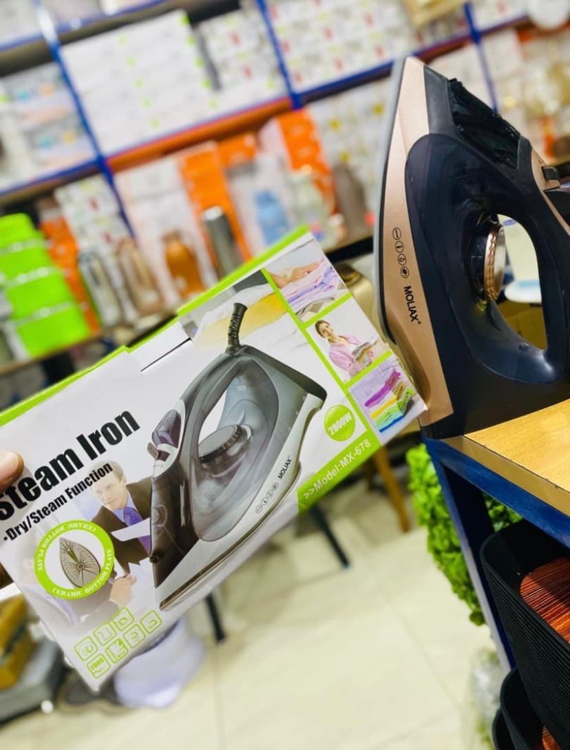 MoliXia steam iron image 1